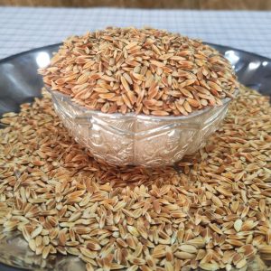Golden Khapali Wheat